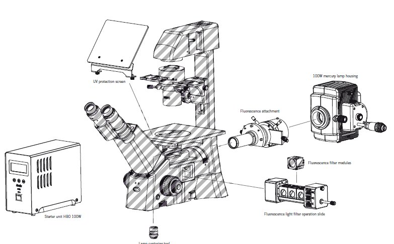 Kit p/Epifluorescencia para microscopios invertidos de las familias AE30 y AE31 1101000202651