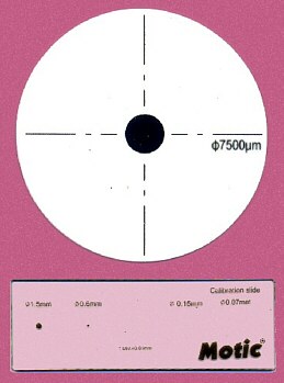 Referencias Dimensionales para Calibrar Sistemas de Videomicroscopía Referencias Dimensionales